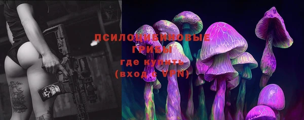 прущие крисы Краснослободск