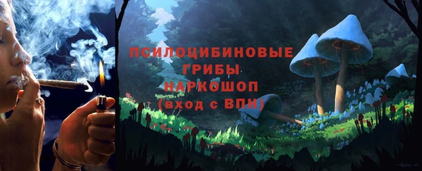 эйфоретик Кукмор