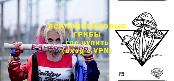эйфоретик Кукмор